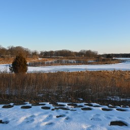 Sunrise Stroll: Nippersink