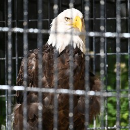 River Trail Nature Center