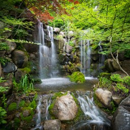 Anderson Japanese Gardens