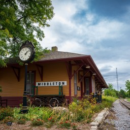 Grace Coffee x Mustard Museum