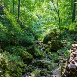 Maquoketa Caves State Park